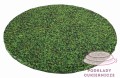 2zwpcDSC_5711.jpg